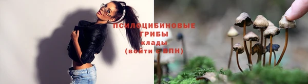 герыч Абинск